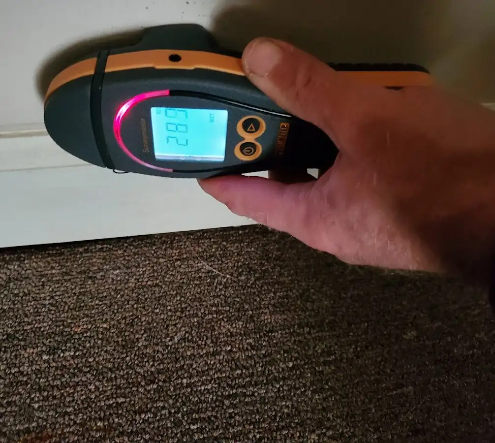 Moisture detection at baseboard during Mold Inspection & Testing in Sitka